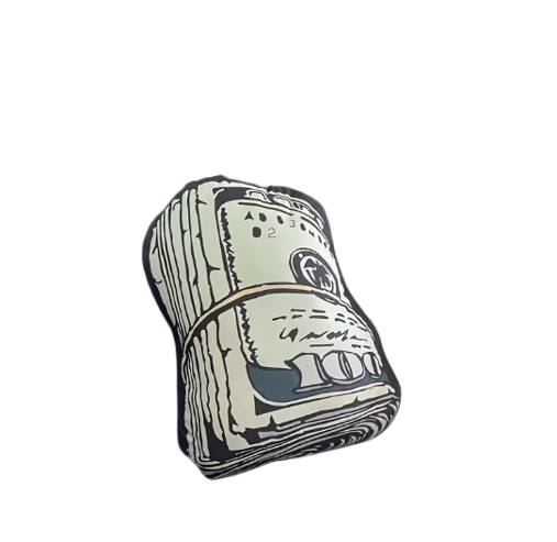 CASH PILLOW